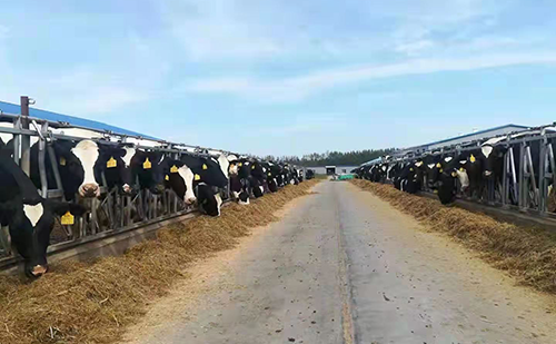 星空体育首页注册