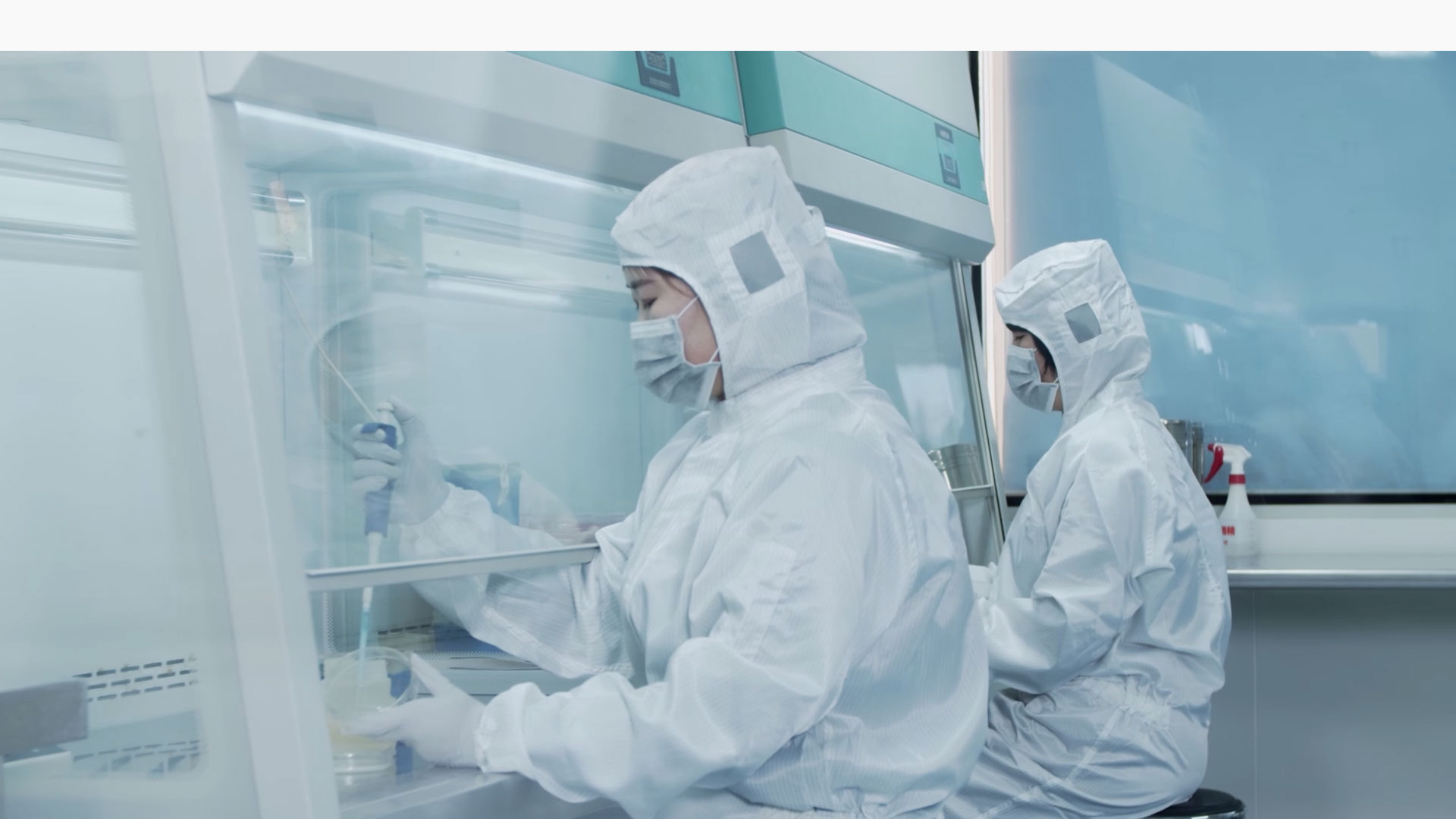 xk星空体育登录