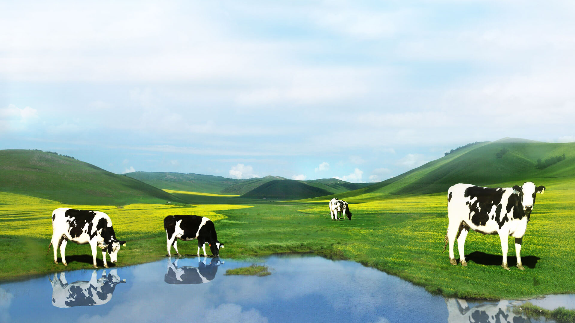 星空体育首页注册