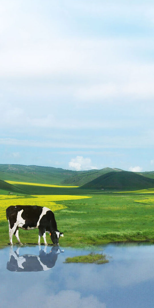 星空体育首页注册